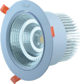 COB Down Light 20W