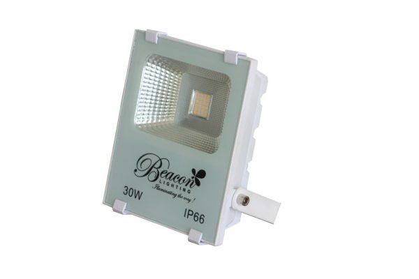 Flood Light BLS - S-FL30 - 30W